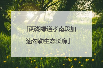 两湖绿道孝南段加速勾勒生态长廊