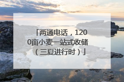 两通电话，1200亩小麦一站式收储（三夏进行时）