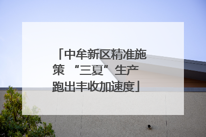 中牟新区精准施策 “三夏”生产跑出丰收加速度
