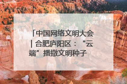 中国网络文明大会｜合肥庐阳区：“云端”播撒文明种子 共建清朗网络空间