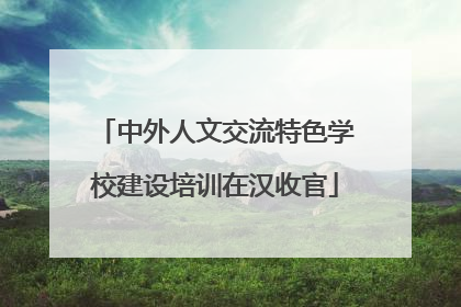 中外人文交流特色学校建设培训在汉收官