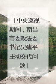 中央巡视期间，南昌市委政法委书记吴建平主动交代问题
