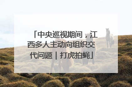 中央巡视期间，江西多人主动向组织交代问题｜打虎拍蝇