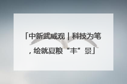 中新武威观｜科技为笔，绘就夏粮“丰”景