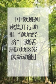 中欧班列密集开行助推“落地经济” 激活周边地区发展新动能
