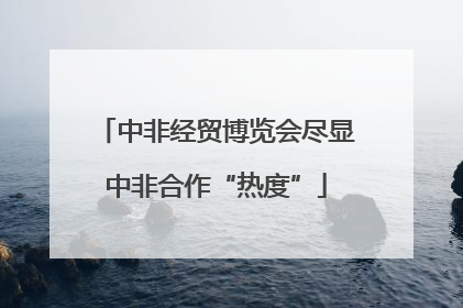 中非经贸博览会尽显中非合作“热度”