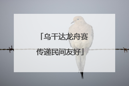 乌干达龙舟赛传递民间友好