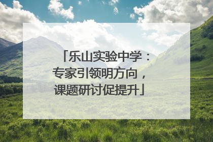 乐山实验中学：专家引领明方向，课题研讨促提升