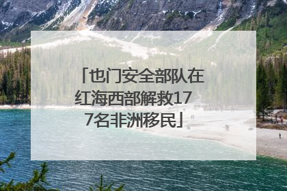 也门安全部队在红海西部解救177名非洲移民