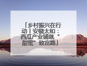 乡村振兴在行动丨安徽太和：西瓜产业铺就“甜蜜”致富路