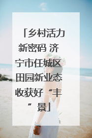 乡村活力新密码 济宁市任城区田园新业态收获好“丰”景