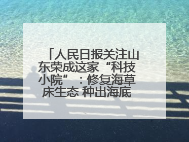 人民日报关注山东荣成这家“科技小院”：修复海草床生态 种出海底“森林”