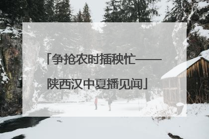争抢农时插秧忙——陕西汉中夏播见闻