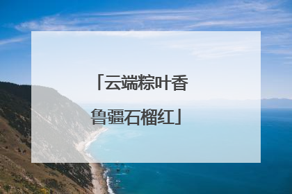 云端粽叶香 鲁疆石榴红
