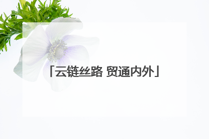 云链丝路 贸通内外