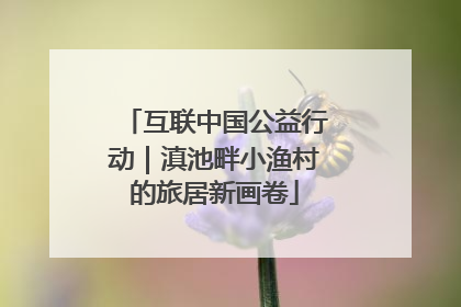 互联中国公益行动｜滇池畔小渔村的旅居新画卷