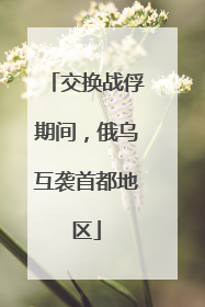 交换战俘期间，俄乌互袭首都地区