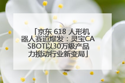 京东 618 人形机器人赛道爆发：灵宝CASBOT以30万级产品力搅动行业新变局