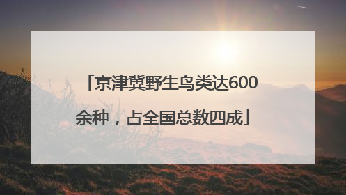 京津冀野生鸟类达600余种，占全国总数四成