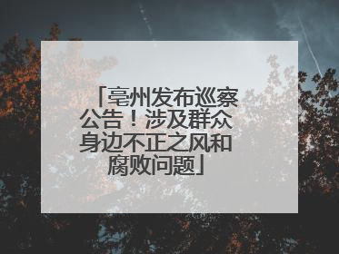 亳州发布巡察公告！涉及群众身边不正之风和腐败问题