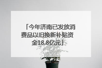 今年济南已发放消费品以旧换新补贴资金18.8亿元