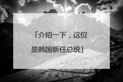 介绍一下，这位是韩国新任总统
