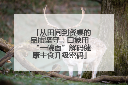 从田间到餐桌的品质坚守：白象用“一碗面”解码健康主食升级密码