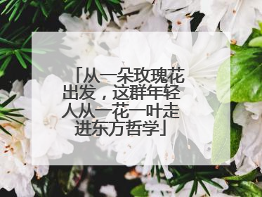 从一朵玫瑰花出发，这群年轻人从一花一叶走进东方哲学