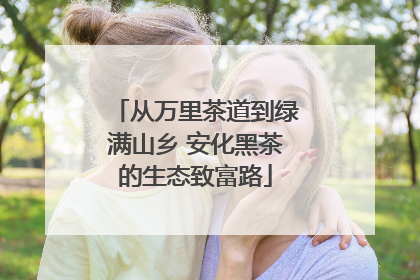 从万里茶道到绿满山乡 安化黑茶的生态致富路