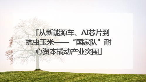 从新能源车、AI芯片到抗虫玉米——“国家队”耐心资本撬动产业突围
