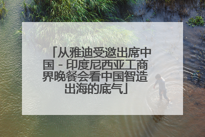 从雅迪受邀出席中国－印度尼西亚工商界晚餐会看中国智造出海的底气