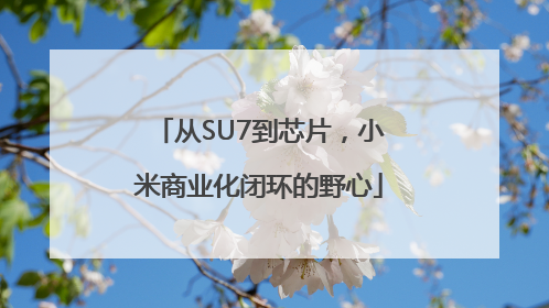 从SU7到芯片，小米商业化闭环的野心