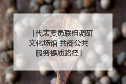 代表委员联组调研文化场馆 共商公共服务提质路径