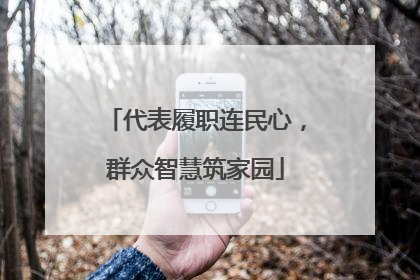 代表履职连民心，群众智慧筑家园