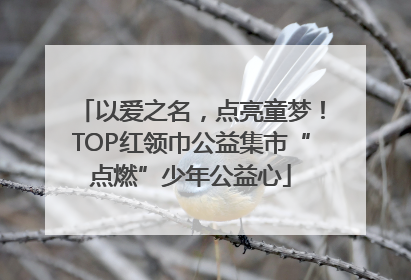 以爱之名，点亮童梦！TOP红领巾公益集市“点燃”少年公益心
