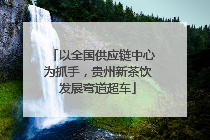以全国供应链中心为抓手，贵州新茶饮发展弯道超车