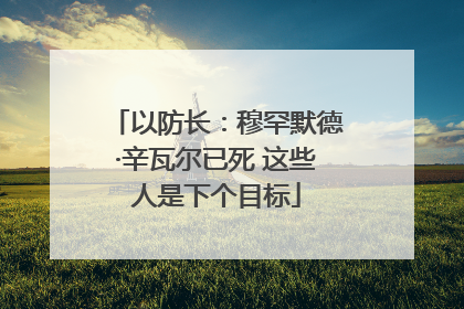以防长：穆罕默德·辛瓦尔已死 这些人是下个目标