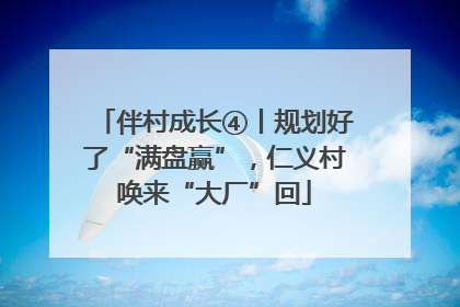 伴村成长④丨规划好了“满盘赢”，仁义村唤来“大厂”回