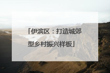 伊滨区：打造城郊型乡村振兴样板
