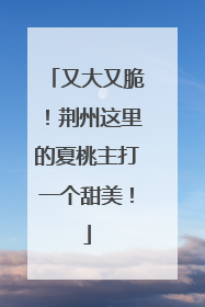 又大又脆！荆州这里的夏桃主打一个甜美！