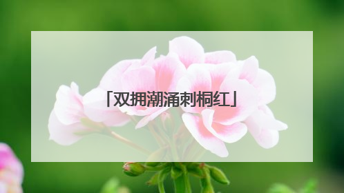 双拥潮涌刺桐红