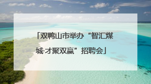 双鸭山市举办“智汇煤城·才聚双赢”招聘会