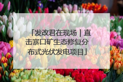 发改君在现场｜直击寨口矿生态修复分布式光伏发电项目