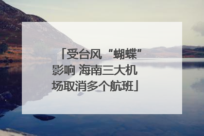 受台风“蝴蝶”影响 海南三大机场取消多个航班