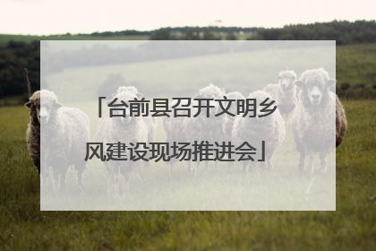 台前县召开文明乡风建设现场推进会