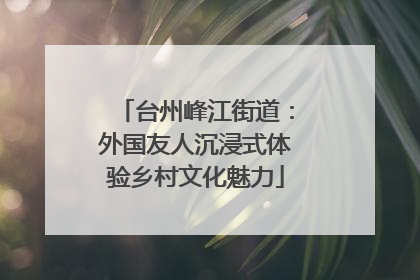 台州峰江街道：外国友人沉浸式体验乡村文化魅力