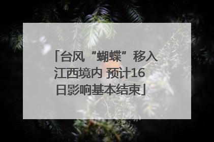 台风“蝴蝶”移入江西境内 预计16日影响基本结束