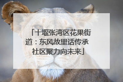 十堰张湾区花果街道：东风故里话传承 社区聚力向未来