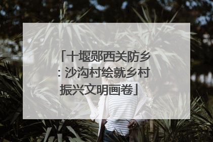 十堰郧西关防乡：沙沟村绘就乡村振兴文明画卷