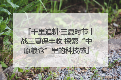 千里追耕·三夏时节丨战三夏保丰收 探索“中原粮仓”里的科技感